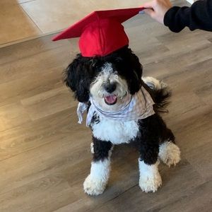 Meet your Posher, Avery